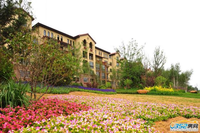 �����K�{��ԭ´�����D��2014.1.21��