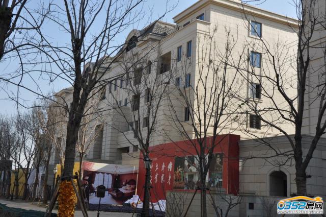 �͵��������Ŀ�����D