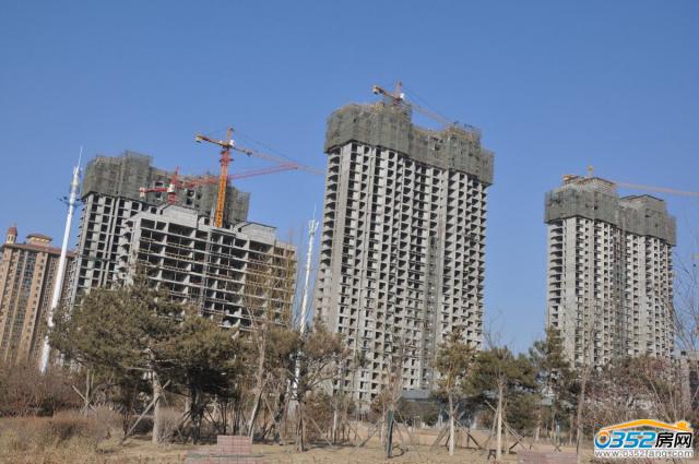 �|�����Ƕ��ڌ����D��2014.1.21��