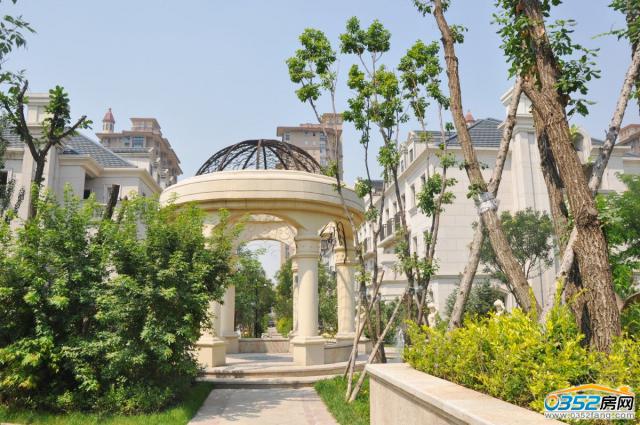 �|�����Ǆe���^��ͤ