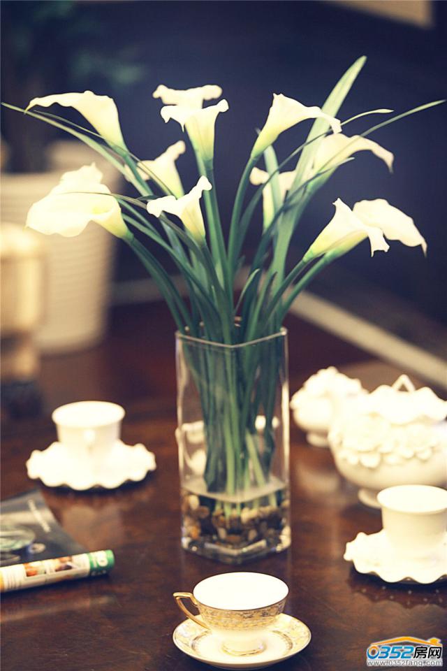 �͵��������Ӱ��g�[�O