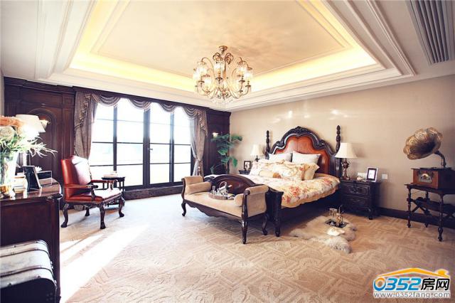 �͵��������Ӱ��g���P