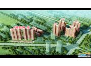 ��ܰ����Ƕ����Ŀ���wЧ���D