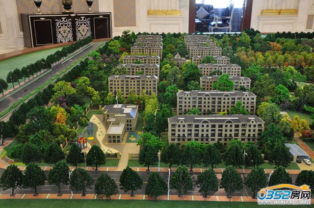 �͵�������ɳ�P���挍���D