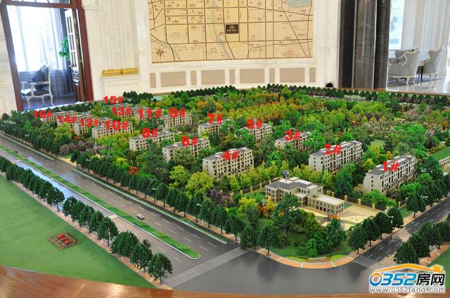 �͵�������ɳ�P���挍���D