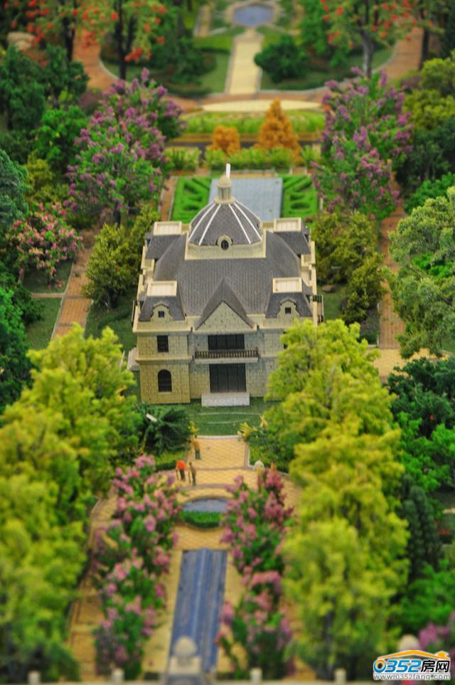 �͵�������ɳ�P���������D