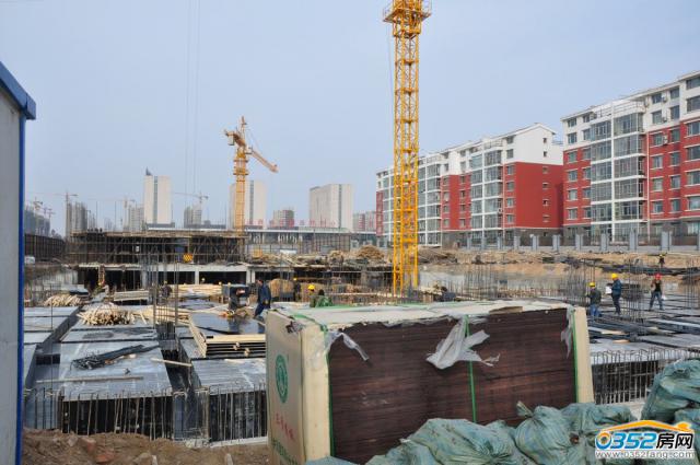 ���ɏV��2014.3.11���̌����D