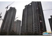 �f���̘I�V��3.25�����D