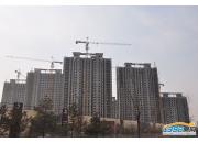 �����ݾ����ڽ��O�����D