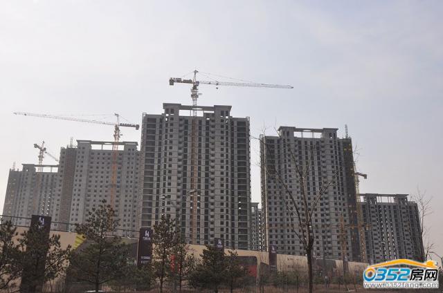 �����ݾ����ڽ��O�����D