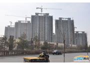 �f���̘I�V�������Ŀ���O�����D