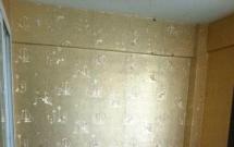 ���m���� 1��1�d1�l 82�O�̓r����