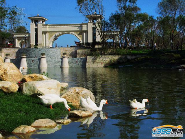 ���G�ވ@�־��^�����D