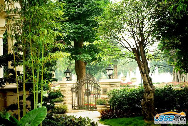 ���G�������[�[�Ĉ@�־��^