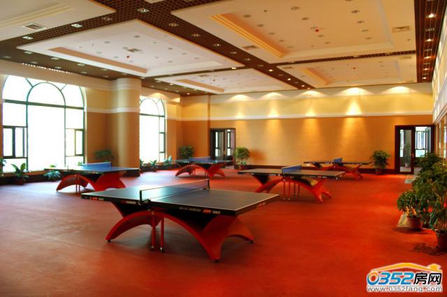 ����ƹ������