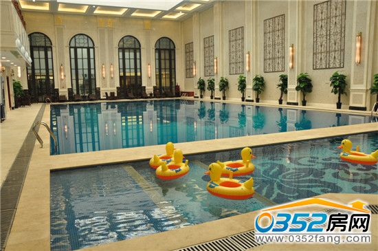 江鴻會所內游泳池實景圖