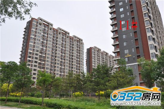 華北星城6月19日11號樓實景圖