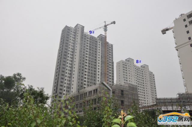 �|�����Ƕ���8��9̖�ǌ����D��2014.7.29��