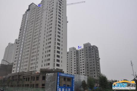 �|�����Ƕ���4��5̖(h��o)�ǌ�(sh��)���D��2014.7.29��