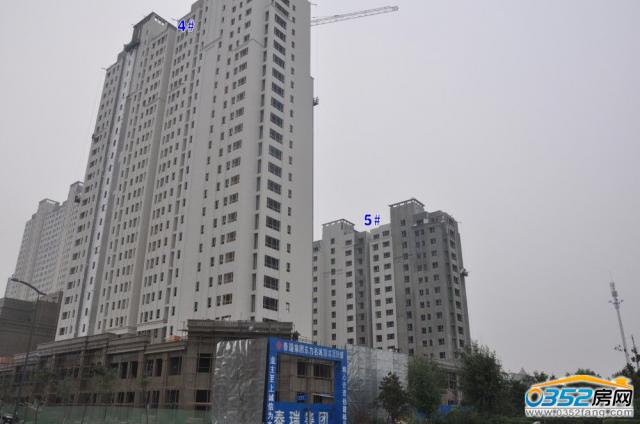 �|�����Ƕ���4��5̖�ǌ����D��2014.7.29��