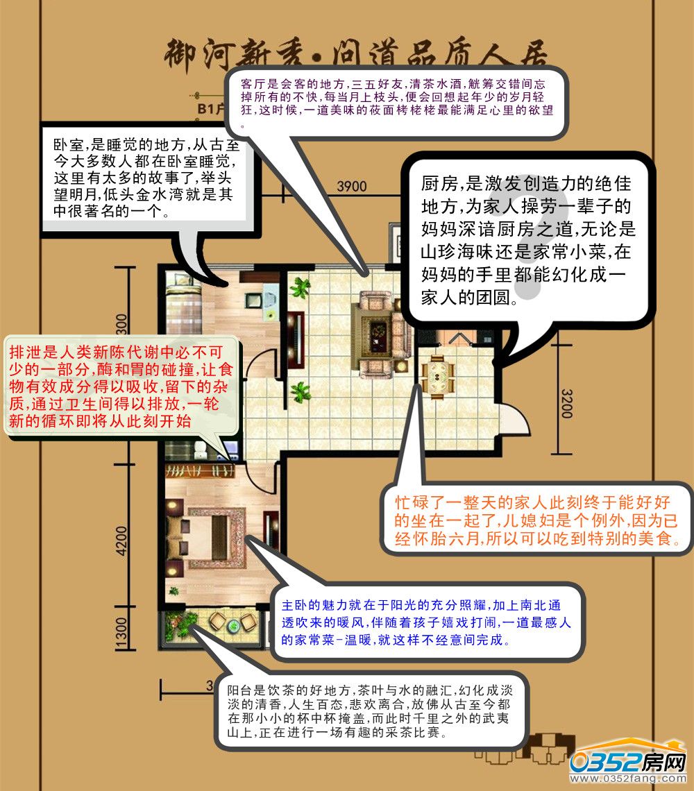 舌尖體戶型說明書-金水灣B1