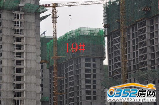 東信國際建材家居廣場19號樓