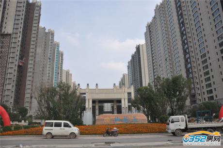 ����ͥ���T�����D