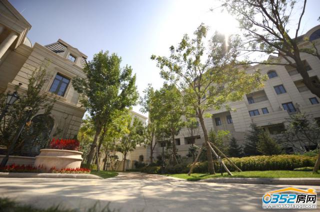 ��(f��)���������������@����