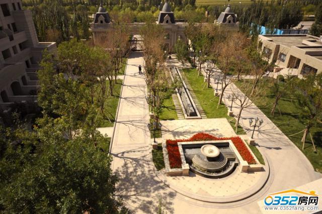 ��(f��)���������������@�V��