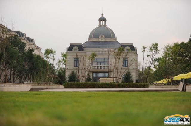 ��(f��)���������������@��ƺ