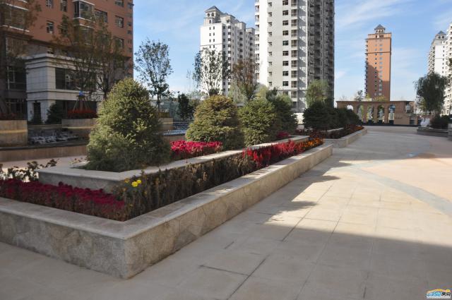 ǧ�����|��������Է���̎����