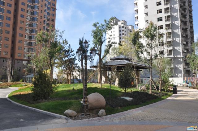 ����Է�Ȳ����^�����D