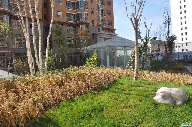 ǧ�����|����С�^�Ȳ��Gֲ