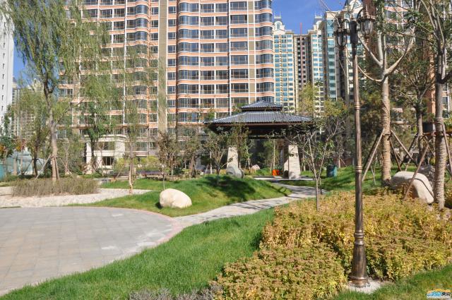 ǧ�����|����Ȳ�����