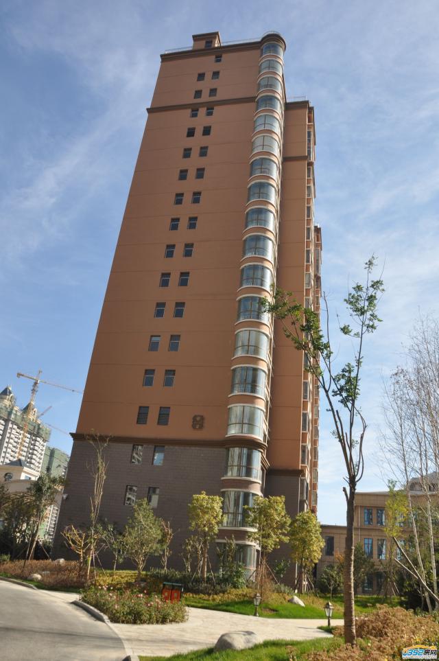 ǧ�����|����1̖�ǂ�������