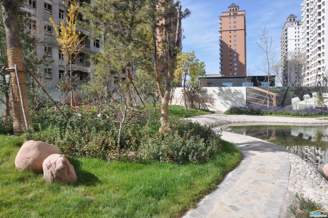 ������Է��ǧ������