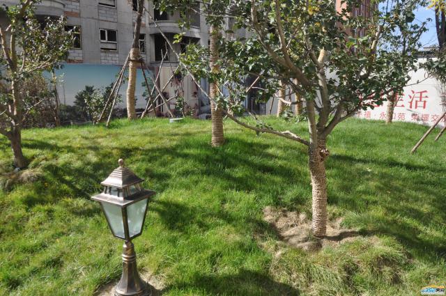 ǧ�����|����һ������Է΢���^