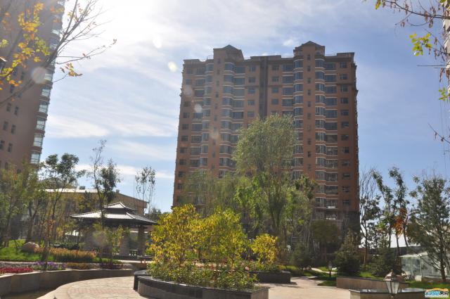 ǧ�����|����4̖�ǌ����D