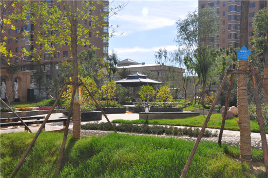 ����G������Է