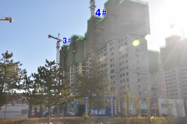 ���d���@3̖��4̖�Ƿ�픣�2014.11.12��