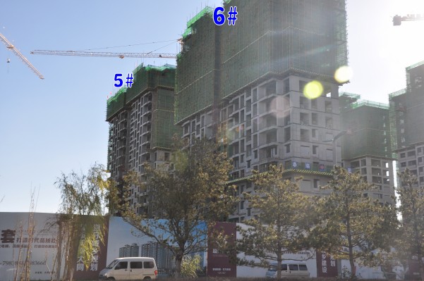 ���d���@6̖�Ƿ�픣�2014.11.12��