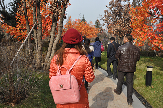 0352���W(w��ng)�W(w��ng)�х��^�����ǈ@�־��^