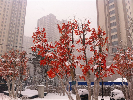從售樓處看御河九號(hào)一期