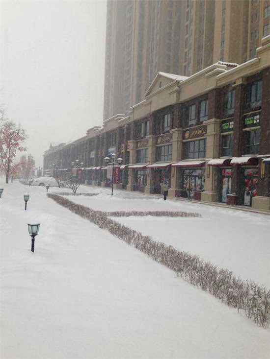 �������ؽ����ѩ����������