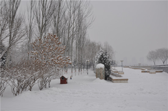 ��ˮ���҂�(c��)-���B(t��i)�@ѩ��