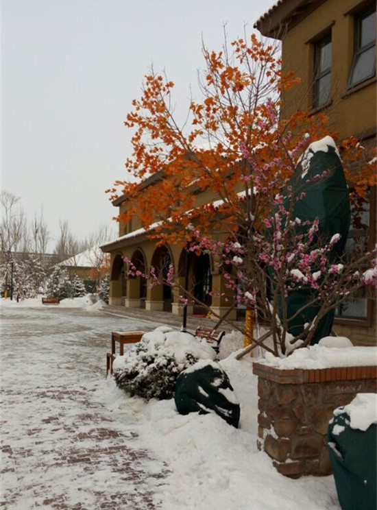 �п��ۘ�̎ѩ���D