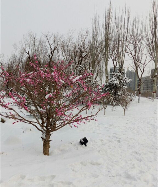 �h(yu��n)���п��(xi��ng)Ŀ��(sh��)���D