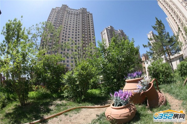 ���Ӿ�̖�@�־��^