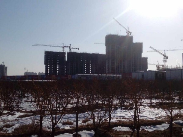 �|�����Ǻ����ǹ��̬F�2015.2.8��