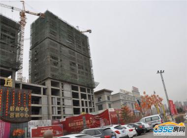 ���������ۘ�̎��������D